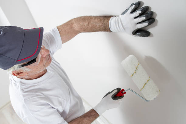Best Airborne Mold Testing  in Twin Grove, IL