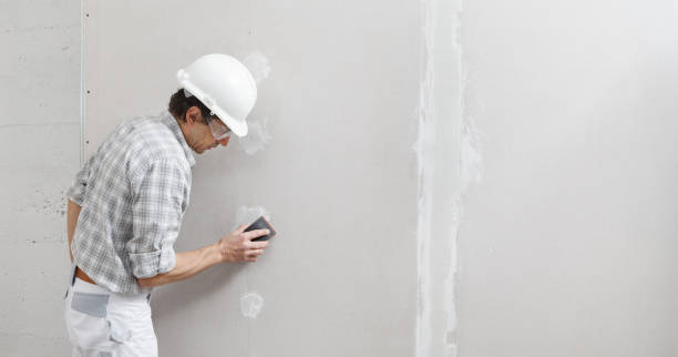 Best Real Estate Mold Inspection  in Twin Grove, IL