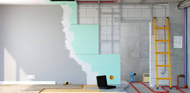 Best Forensic Mold Investigation  in Twin Grove, IL