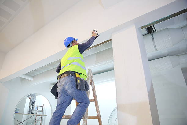 Best Mold Remediation for Healthcare Facilities  in Twin Grove, IL