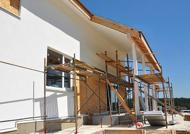 Best Industrial Mold Remediation  in Twin Grove, IL