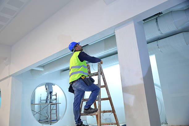 Environmental Consulting for Mold Prevention in Twin Grove, IL